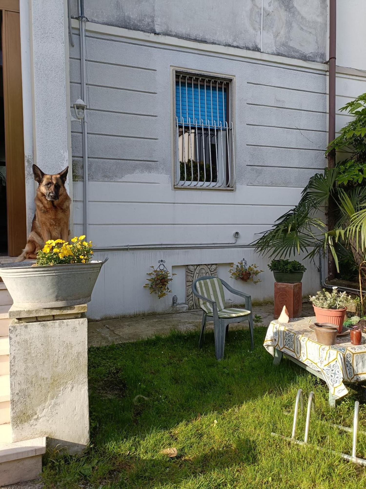 B&B Mavipagi Verona Exterior foto